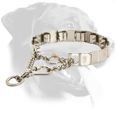 Top Quality Stainless Steel Rottweiler Pinch Collar with Martingale Chain