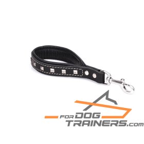 Swift Reward' Dog Training Pouch for Toys and Treats for Rottweiler :  Rottweiler Breed: Dog harness, Rottweiler dog muzzle, Rottweiler dog  collar, Dog leash