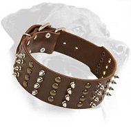 Get Wide Walking Leather Dog Collar | Brass Studs | Nickel Spikes