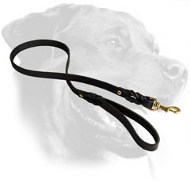 Braided Leather Dog 【Leash】 4 foot-Braided Lead Rottweiler : Rottweiler  Breed: Dog Harnesses, Muzzles, Collars, Leashes, Bite Sleeves, Training  Equipment