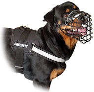 Multifunctional Nylon Rottweiler Harness with ID Patches [H17##1092 Better  Control Multi-Purpose Nylon Dog Harness] : Custom dog harnesses for  Pulling, Training, Tracking, Walking