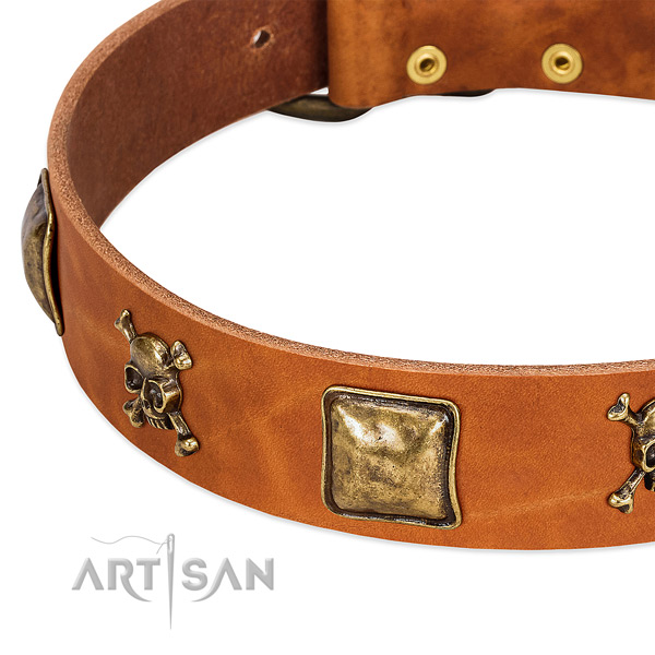 Designer adornments on full grain genuine leather collar for your pet