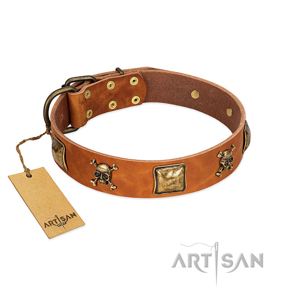Incredible leather dog collar with strong adornments