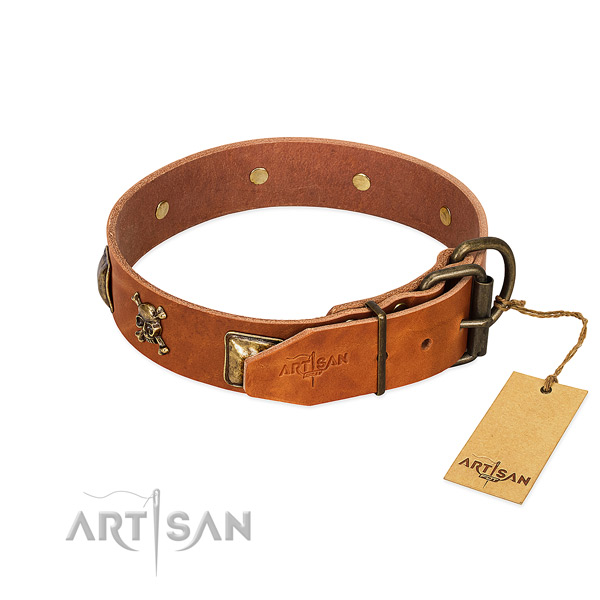 Trendy full grain leather dog collar with rust resistant adornments