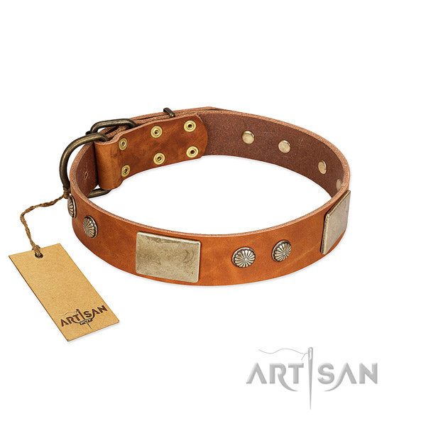 Easy wearing genuine leather dog collar for stylish walking your dog