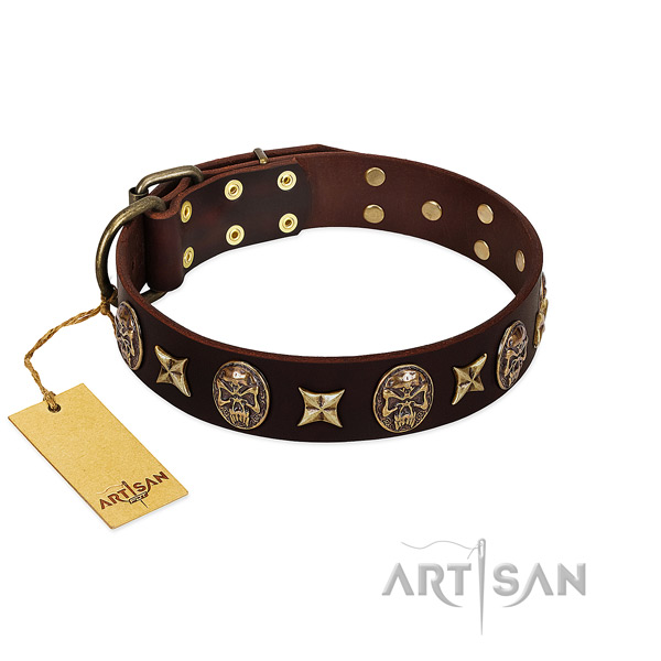 Incredible full grain leather collar for your pet
