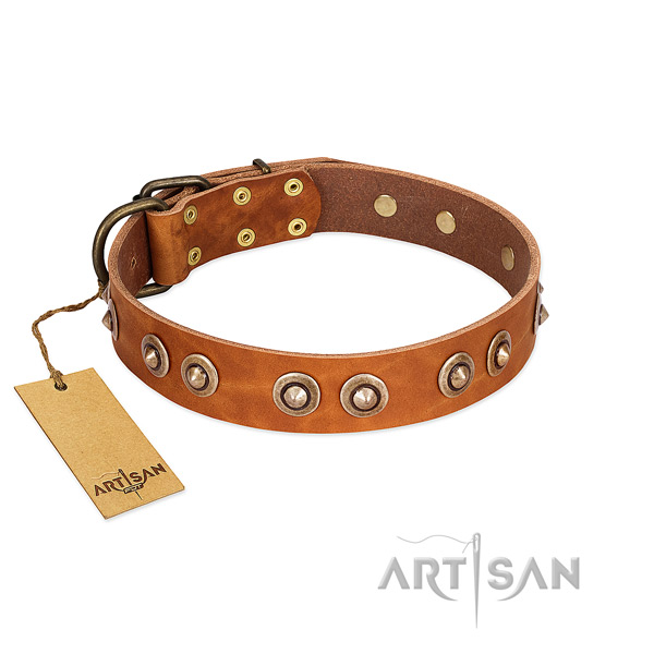 Rust resistant decorations on genuine leather dog collar for your canine