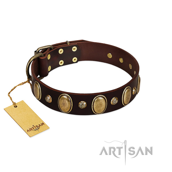 Full grain leather dog collar of reliable material with trendy adornments