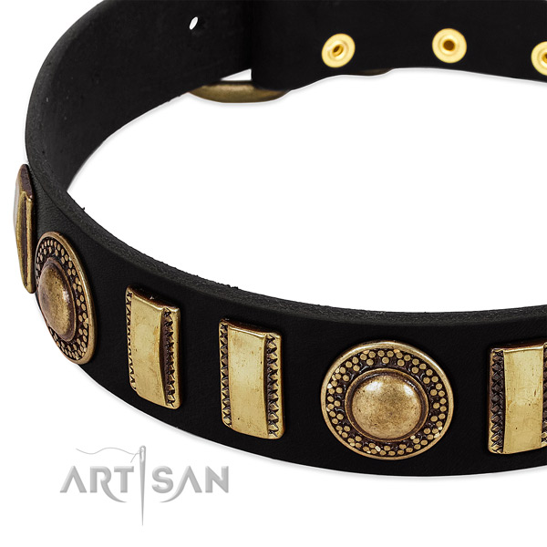 Reliable full grain leather dog collar with corrosion resistant traditional buckle