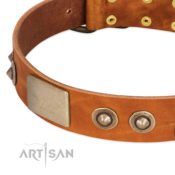 Durable decorations on full grain natural leather dog collar for your canine