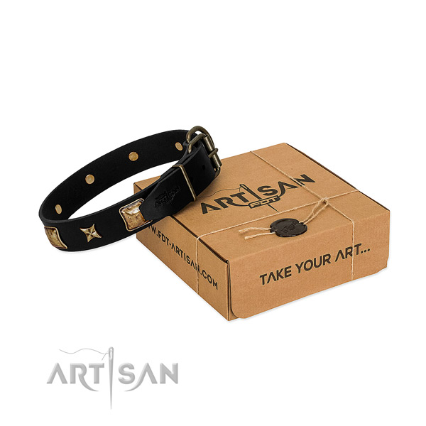 Rust resistant buckle on leather dog collar for everyday walking