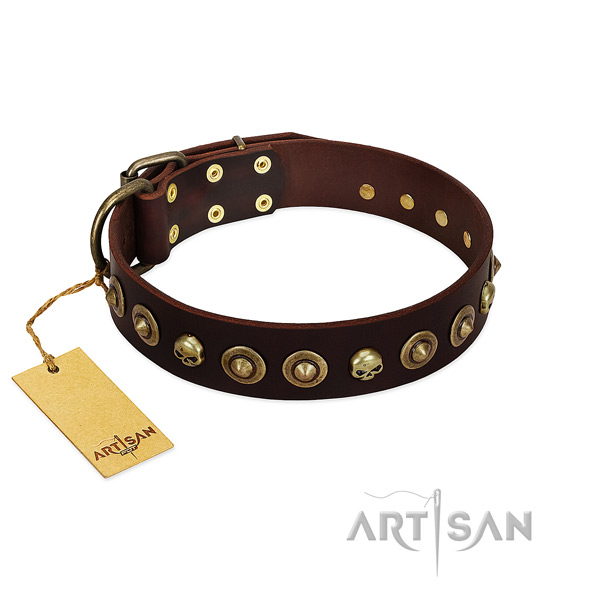 Leather collar with designer decorations for your pet
