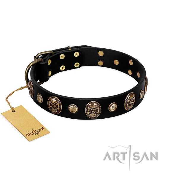 Leather dog collar with rust resistant embellishments