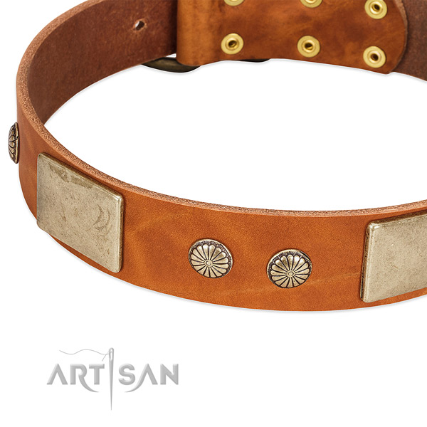 Durable studs on full grain genuine leather dog collar for your doggie