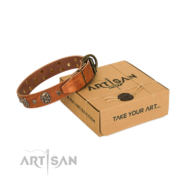 Corrosion resistant traditional buckle on genuine leather dog collar for your four-legged friend