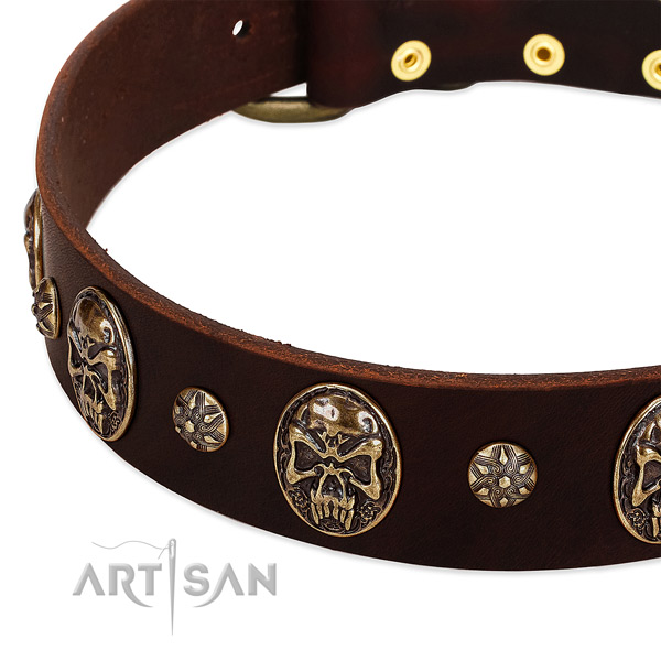 Rust resistant embellishments on leather dog collar for your doggie