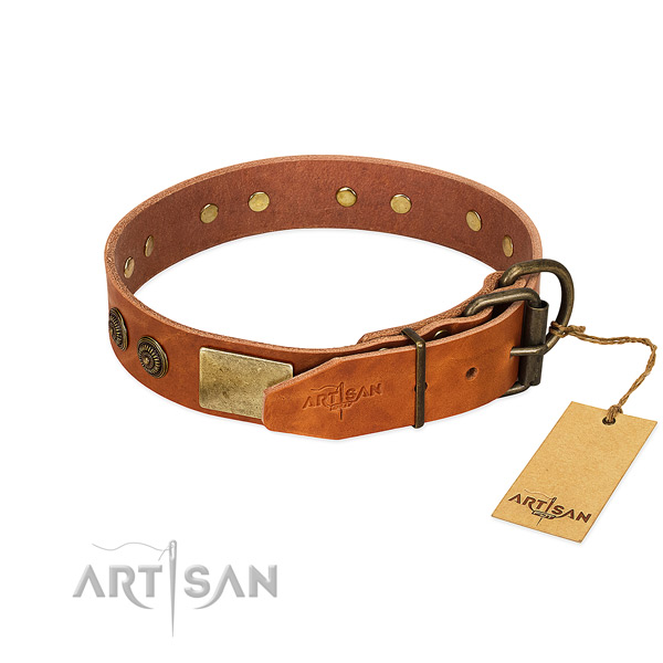 Durable D-ring on full grain leather collar for daily walking your pet