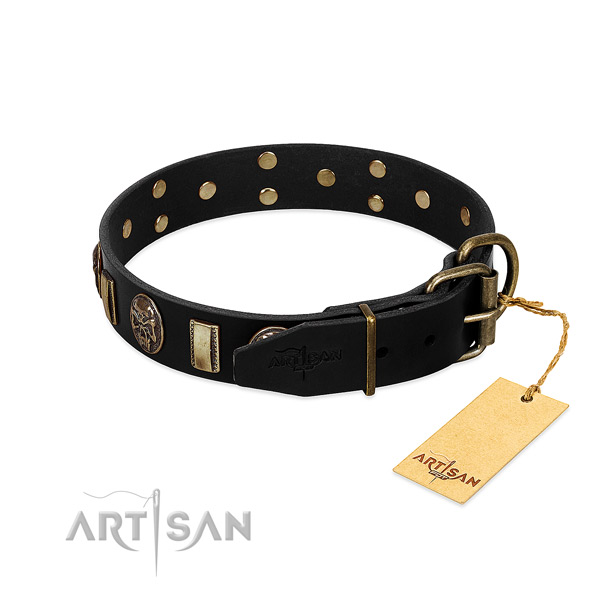 Full grain leather dog collar with strong buckle and studs