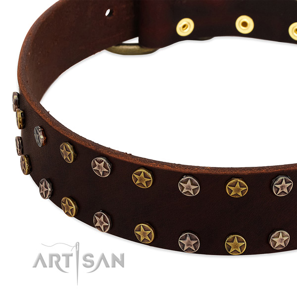 Everyday walking genuine leather dog collar with amazing decorations