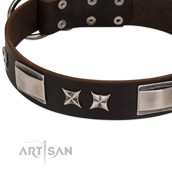 Top notch natural leather dog collar with rust resistant buckle