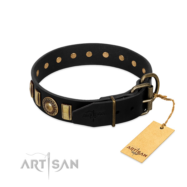 Soft to touch leather dog collar with studs