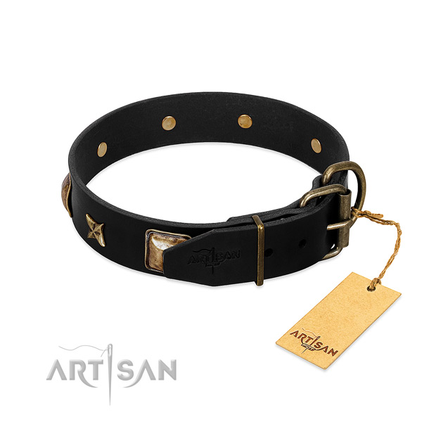 Durable traditional buckle on natural genuine leather collar for everyday walking your pet