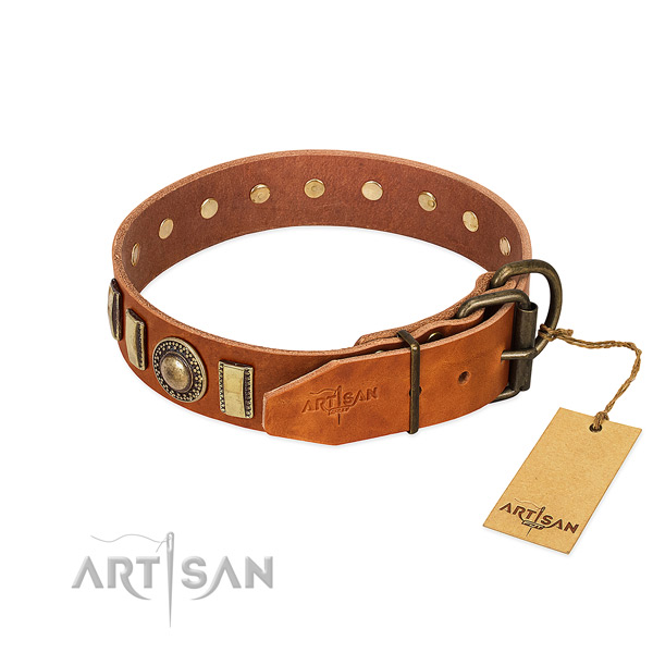 Studded full grain natural leather dog collar with rust resistant D-ring