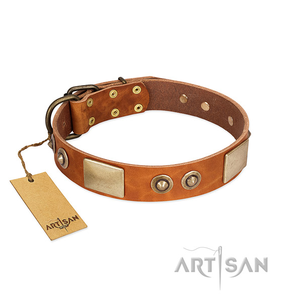 Easy to adjust full grain leather dog collar for walking your doggie