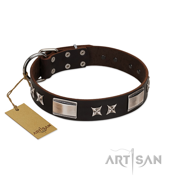 Remarkable dog collar of natural leather