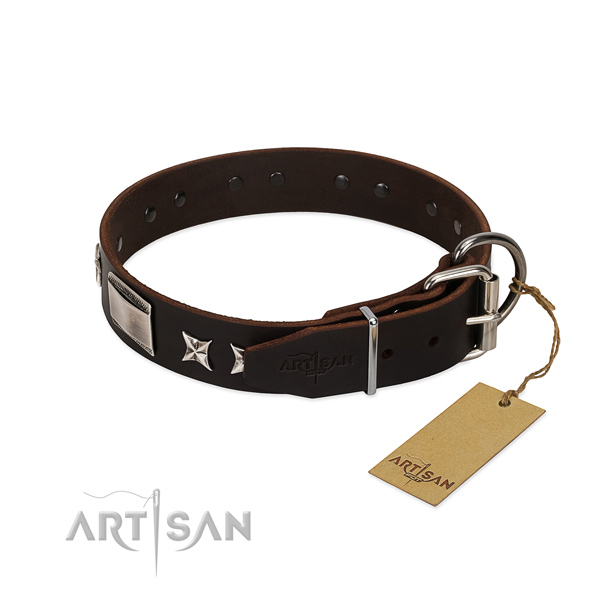 Designer collar of full grain natural leather for your attractive four-legged friend