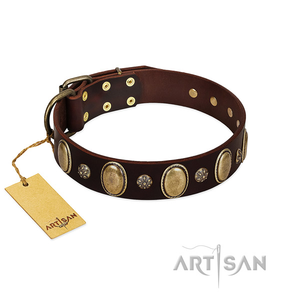 Everyday walking top rate genuine leather dog collar with embellishments