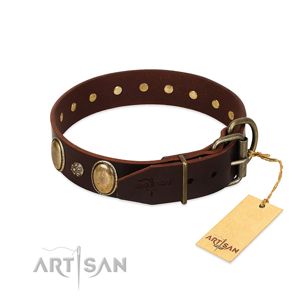 Stylish walking soft to touch full grain leather dog collar