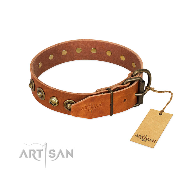 Leather collar with top notch studs for your pet