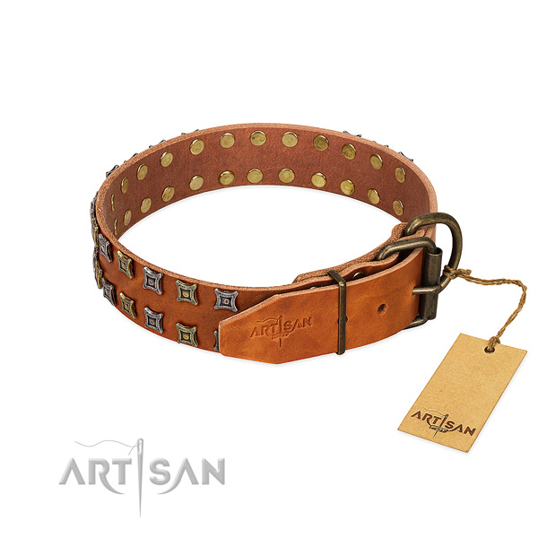 High quality leather dog collar crafted for your canine