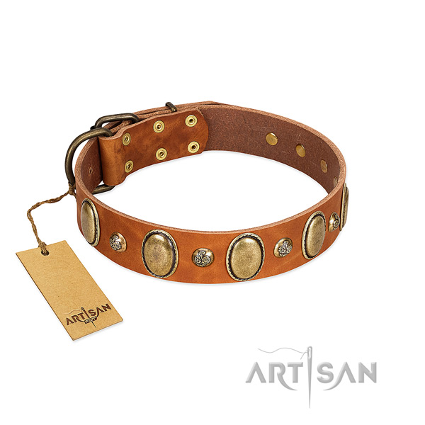 Full grain leather dog collar of reliable material with awesome decorations