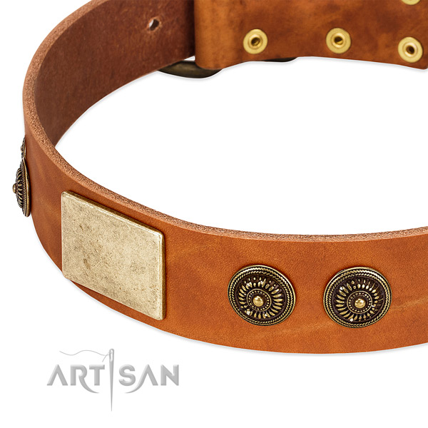 Top notch dog collar crafted for your beautiful doggie