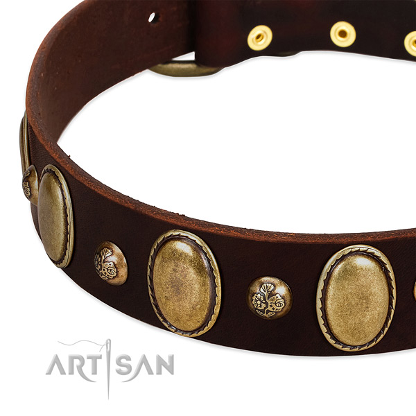 Full grain leather dog collar with stylish adornments