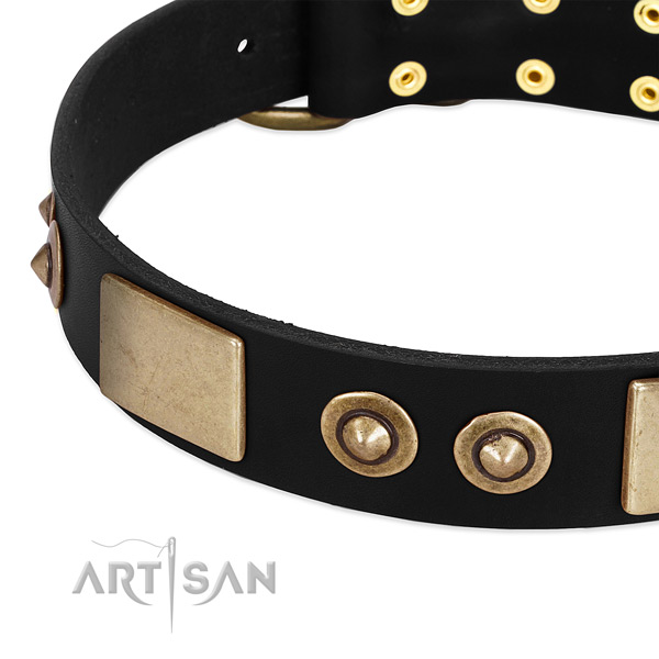 Rust resistant hardware on leather dog collar for your pet