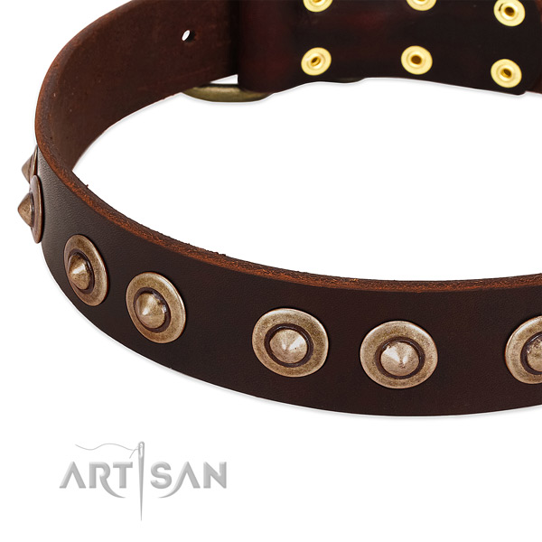 Corrosion resistant fittings on leather dog collar for your canine