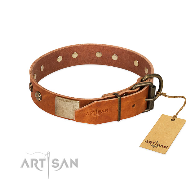 Corrosion resistant embellishments on basic training dog collar