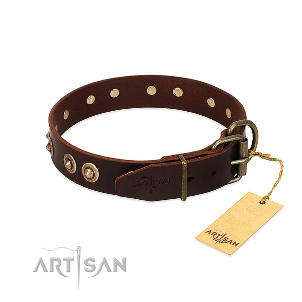 Rust resistant studs on full grain natural leather dog collar for your dog