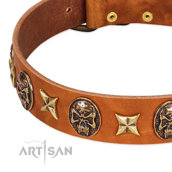 Rust resistant adornments on full grain genuine leather dog collar for your four-legged friend