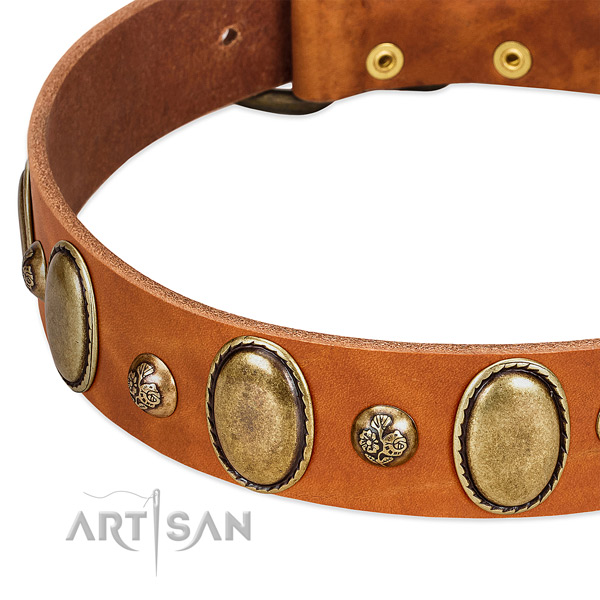 Full grain genuine leather dog collar with incredible embellishments