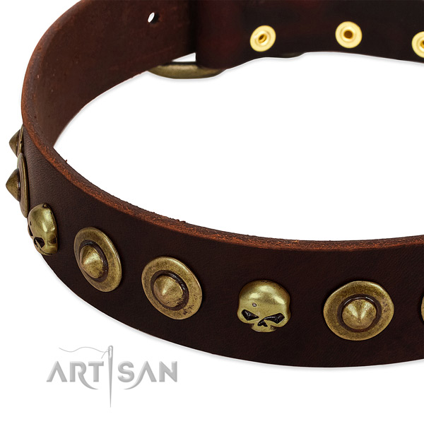 Impressive decorations on leather collar for your canine