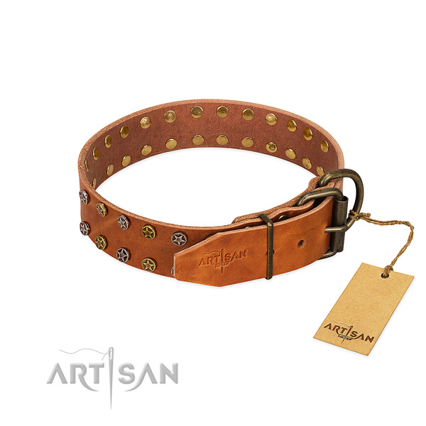 Comfortable wearing full grain genuine leather dog collar with stylish design adornments