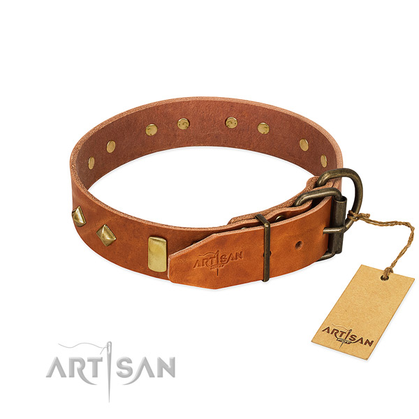 Fancy walking full grain natural leather dog collar with inimitable studs