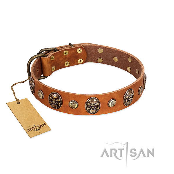 Top notch genuine leather dog collar for daily walking