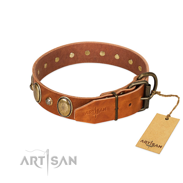 Corrosion proof traditional buckle on full grain genuine leather collar for daily walking your four-legged friend