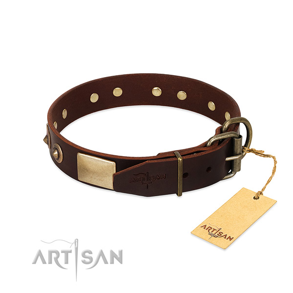 Corrosion resistant buckle on stylish walking dog collar