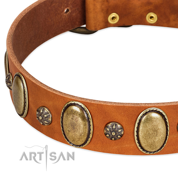 Stylish walking top rate leather dog collar